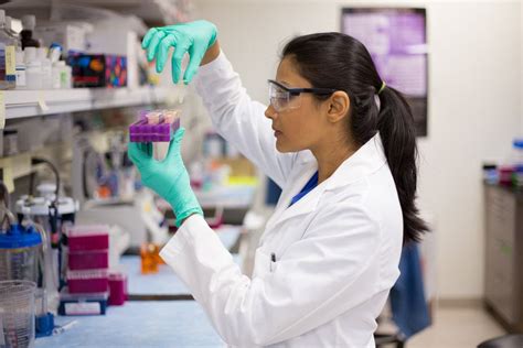 What Is Laboratory Technician